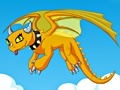 Spill Dragon Trainee