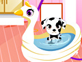 Spill Cute Puppy Daycare