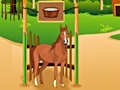 Spill Horse Care Apprenticship