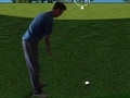 Spill Flash Golf 3D
