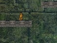 Spill Bunny Adventure