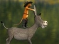 Spill Travel cat and a donkey