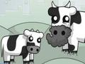 Spill Cowlorful