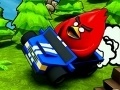 Spill Poultry ACE Downhill