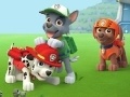 Spill Paw Patrol: Pups Save Their Friends!