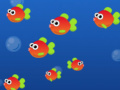 Spill The Big Fish 
