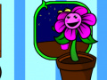 Spill My pocket plant 
