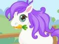 Spill Cutie Pony Care