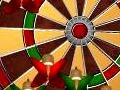 Spill Dart Champion
