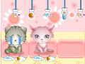 Spill My Pet Shop