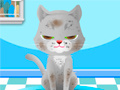 Spill My Pet Spa