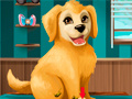 Spill Become a Puppy Groomer