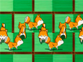 Spill Shiba rescue : dogs and puppies