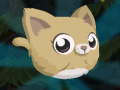 Spill Cat Jump