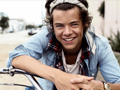 Spill Harry Styles Spot the Difference