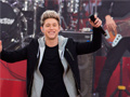 Spill Niall Horan: Spot The Differences