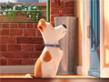 Spill Hidden Letters in The Secret Life of Pets