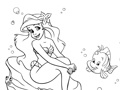 Spill Mermaid: Coloring For Kids