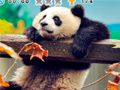 Spill Animal Habitats: Find Items