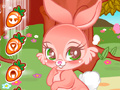 Spill Cute Bunny