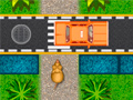 Spill Rat Crossing