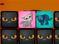Spill Big Cats: Memo Deluxe