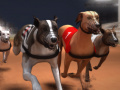 Spill Greyhound Racing