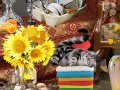 Spill Crazy Cat Lady