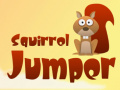 Spill Squirrel Jumper  