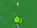 Spill Cabbage Run