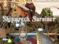 Spill Shipwreck Survivor