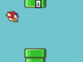 Spill Flapping Bird