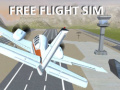 Spill Free Flight Sim