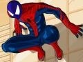 Spill Spiderman Costume
