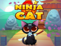 Spill Ninja Cat