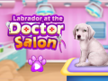 Spill Labrador at the doctor salon    