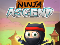 Spill Ninja Ascend