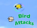 Spill Birds Attacks
