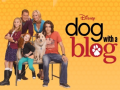 Spill Dog With a Blog Puzzle