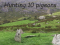 Spill Pigeons Hunting