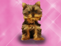 Spill Wash Pets Princess Kids    