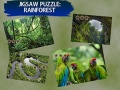 Spill Jigsaw Puzzle Rain Forest 