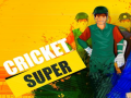 Spill Super Cricket      