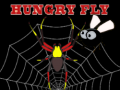 Spill Hungry fly