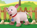 Spill Catch The Pig