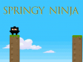 Spill Springy Ninja