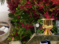 Spill The Prize Winning Garden