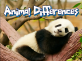 Spill Animal Differences 