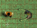 Spill Maze Of Infection