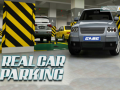 Spill Real Car Parking